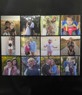 Set of 12 Magnets *Better Value*