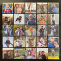 Set of 25 Magnets *Best Value*